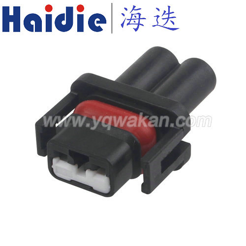 HD0216Y-1-21