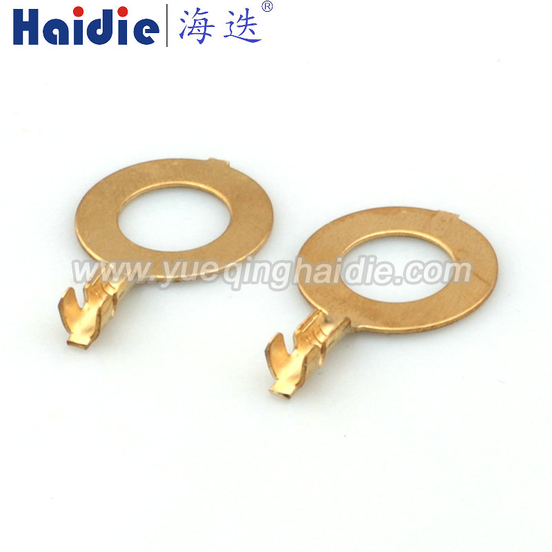 Auto Pin Wire Cable Harness Auto Connector Housing Plug And Terminal DJ431-10A-2