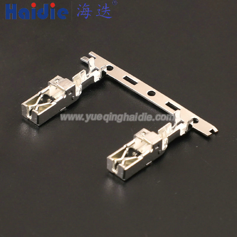 37710825, Terminal conjoined