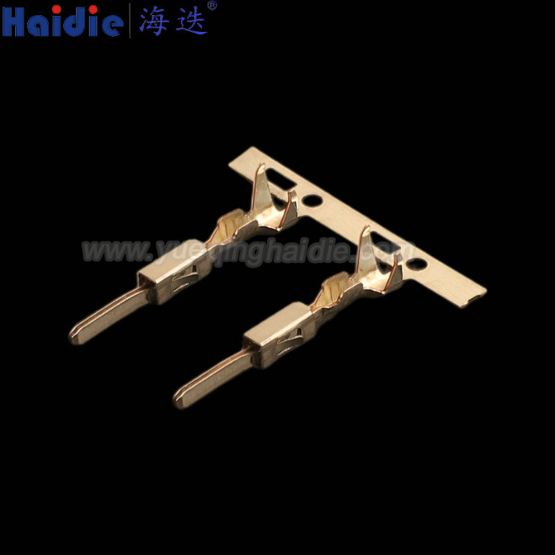 969028-2, Terminal conjoined